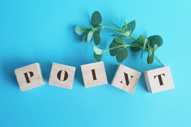Wooden blocks spell 'POINT' on a bright blue background, with a leafy stem crossing over the letters.